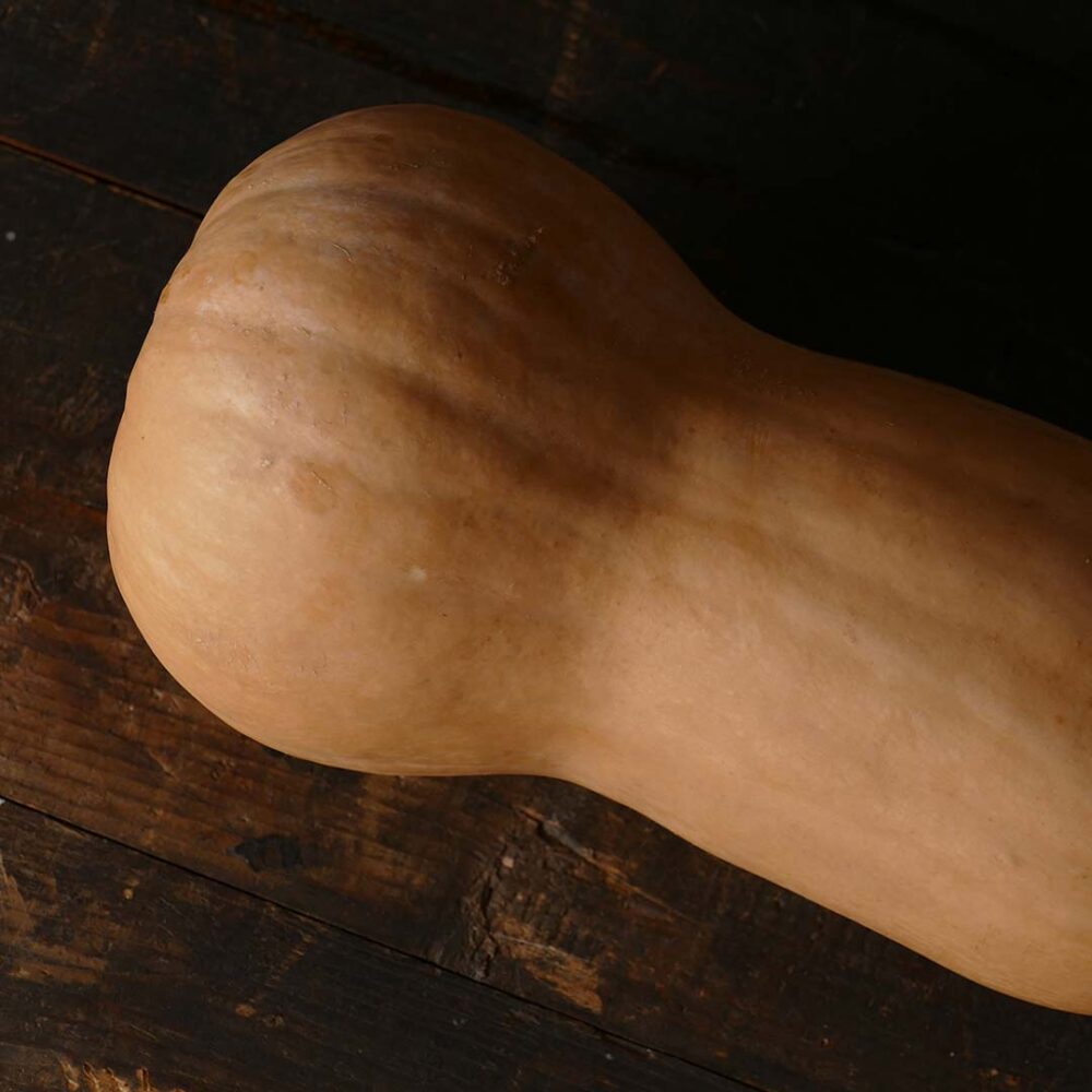 La Butternut Ou Doubeurre Un L Gume Qui Porte Bien Son Nom Nutriting