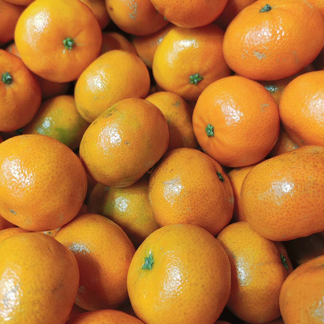 Clémentine ou mandarine, quelles différences ?