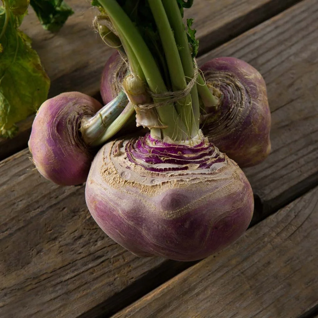 La courgette : bienfaits santé, apports nutritionnels, idées