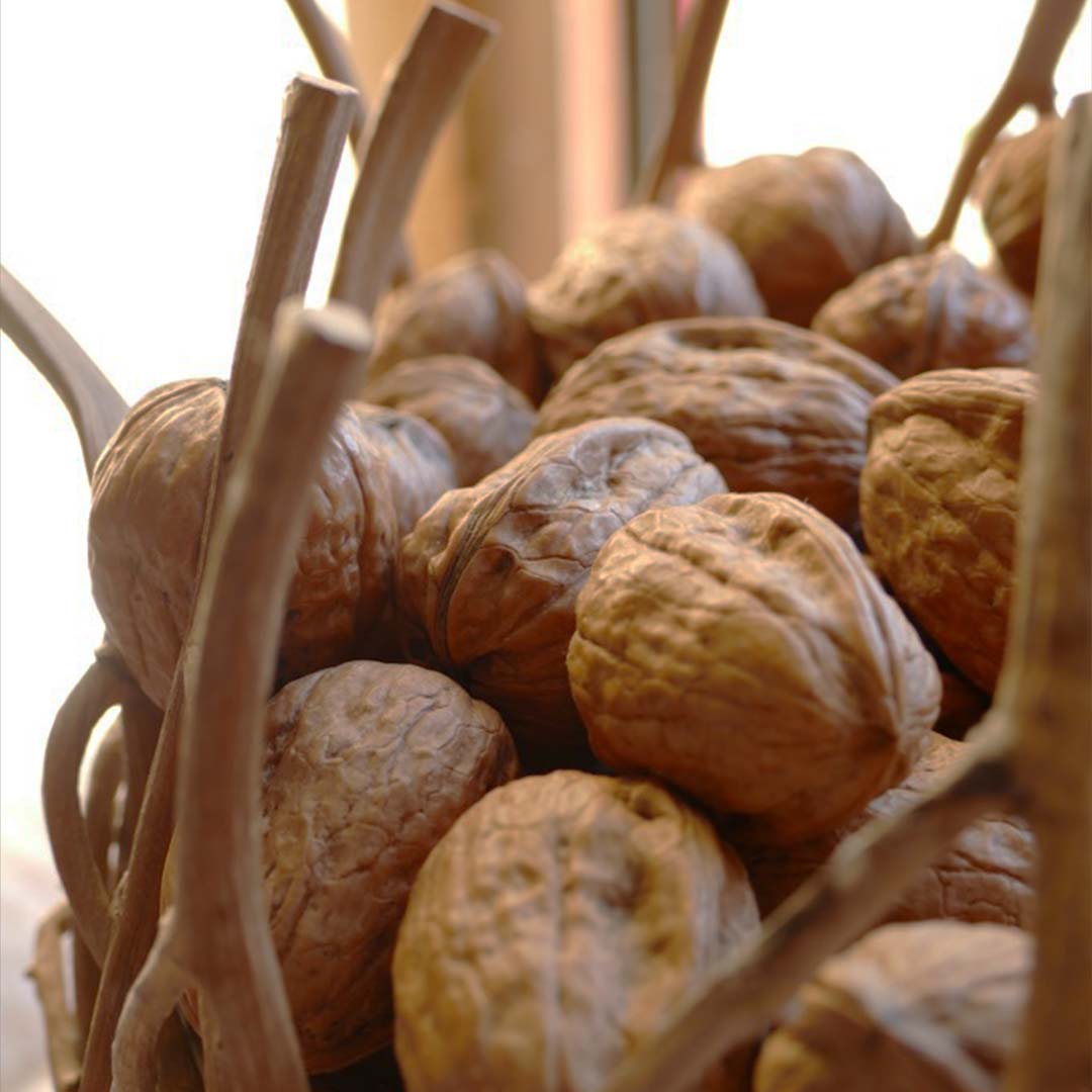 La noix, un en-cas idéal pour passer l'hiver ! - nutriting